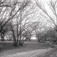 Original caption: Salt Creek, 2 miles S of Pen. South of penitentiary. Nov. 9, 1913