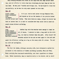 Elizabeth Van Sant transcribed letters