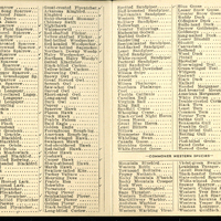 Frank H. Shoemaker bird record, sited on May  9, 1909, in Sarpy County, Nebraska, and recorded on the "Field Check List of  Nebraska Birds."