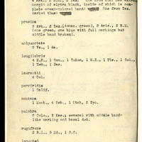 Frank H. Shoemaker typescript, 31 pages, including notes and list on CICINDELIDAE in the Carnegie Museum, Pittsburgh, PN, Nebraska, and his own collection.