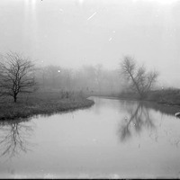 Original caption: Pond near Salt Basin, foggy day, Nov. 1913