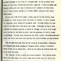 Frank H. Shoemaker typescript, 23 pages, on the bird-room in Omaha home