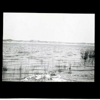 Original caption: Clear Lake, Cherry Co. July 1911 F.H.S. Cherry County. Frank H. Shoemaker (121111-00082)