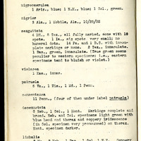 Frank H. Shoemaker typescript, 31 pages, including notes and list on CICINDELIDAE in the Carnegie Museum, Pittsburgh, PN, Nebraska, and his own collection.