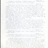 Frank H. Shoemaker typescript, 20 pages, detailing bird sightings, field trips, photography, and associated activities in Omaha, Nebraska.