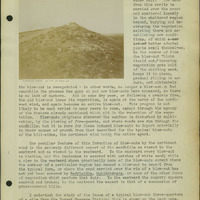 Frank Shoemaker, Narratives, Thomas County, July 3-11, July 27-30, 1911