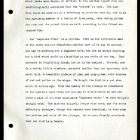 Frank H. Shoemaker typescript narrative, 29 pages,  on the bird room in Omaha home, with details on bird and insects.