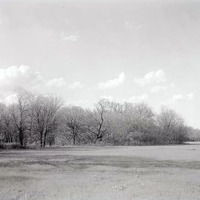 Original caption: Roca, the edge of the meadow May 3, 1914