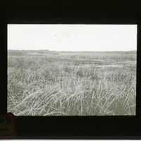 View of grassland prairie, possibly near Hackberry Lake. Cherry County.  (121111-00070)