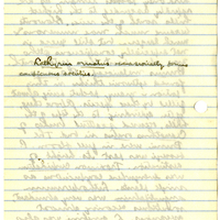 Raymond J. Pool Field Notes and Records