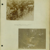 Frank Shoemaker, Narratives, Thomas County, July 3-11, July 27-30, 1911