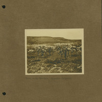 Frank Shoemaker Narratives, Dundy, Hitchcock, Redwillow, Furnas Counties, 1912