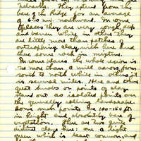 Raymond J. Pool Field Notes and Records