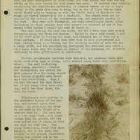 Frank Shoemaker, Narratives, Thomas County, July 3-11, July 27-30, 1911