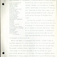 Frank H. Shoemaker typescript, 46 pages, detailing bird sightings, field trips, photography, and associated activities in Omaha, Nebraska.