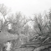 Salt Creek, 2 1/2 miles NE of Havelock. Nov. 8, 1914