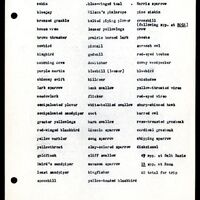 Frank Shoemaker - Omaha, Lincoln, and Nebraska Narratives