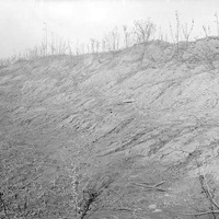 Original caption: Clay slope, brickyard near Salt basin, Lincoln, Nebr. habitat of C. [Cicidela] splendida. Mar. 12, 1918