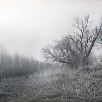 Cutoff north of Havelock, Willows following old course. Lancaster County.