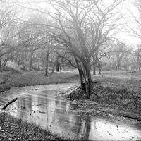 Salt Creek: Branson Woods, icebound. Nov. 13, 1920. Lancaster County. Frank H. Shoemaker (321301-A1211)