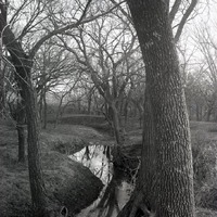 Original caption: Near Roca, Winter view, small trib. of Salt Creek. Dec. 1911