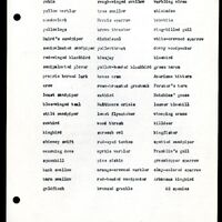 Frank Shoemaker - Omaha, Lincoln, and Nebraska Narratives