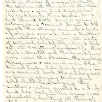 Edith Schwartz Clements, Letters, June 29, 1911
