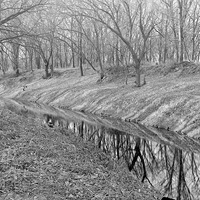 Salt Creek, Branson Woods, Lincoln. Lancaster County. Frank H. Shoemaker (321301-A1329)