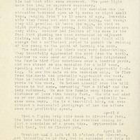 Frank Shoemaker - Omaha, Lincoln, and Nebraska Narratives