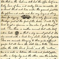 Handwritten 4 page letter from Lawrence Bruner to Psyche Bruner, "According to promise I now site down to write you a letter from a point nearly..."