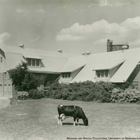 Dairy Barn (Replacement)