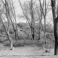 View near Branson woods. Apr. 18, 1919. Lancaster County. Frank H. Shoemaker (321301-A1015)