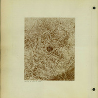 Frank Shoemaker, Narratives, Thomas County, July 3-11, July 27-30, 1911