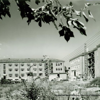 Selleck with Seaton, Benton and Fairfield.