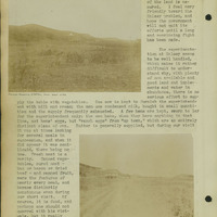 Frank Shoemaker, Narratives, Thomas County, July 3-11, July 27-30, 1911