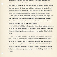 Elizabeth Van Sant transcribed letters