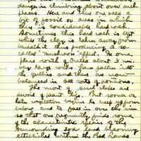 Raymond J. Pool Field Notes and Records