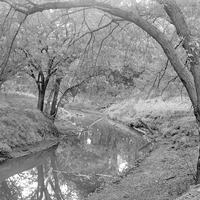 Branson Grove, Salt Creek, 7.30 pm. Sept. 22, 1918. Lancaster County. Frank H. Shoemaker (321301-A0808)