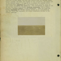 Frank Shoemaker, Narratives, Thomas County, July 3-11, July 27-30, 1911