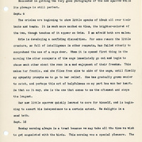 Elizabeth Van Sant transcribed letters