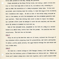 Elizabeth Van Sant transcribed letters