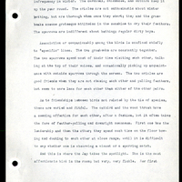 Frank H. Shoemaker typescript narrative, 29 pages,  on the bird room in Omaha home, with details on bird and insects.
