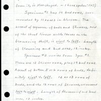 Frank Shoemaker - Sandhills Narratives