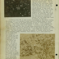 Frank Shoemaker, Narratives, Thomas County, July 3-11, July 27-30, 1911