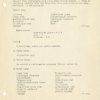 Frank Shoemaker - Omaha, Lincoln, and Nebraska Narratives