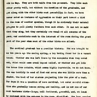 Frank H. Shoemaker typescript, 23 pages, on the bird-room in Omaha home