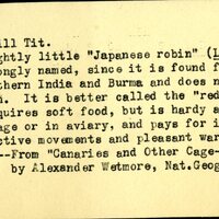 Frank H. Shoemaker typescript, 23 pages, on the bird-room in Omaha home