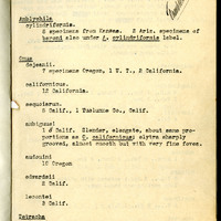 Frank H. Shoemaker typescript, 31 pages, including notes and list on CICINDELIDAE in the Carnegie Museum, Pittsburgh, PN, Nebraska, and his own collection.