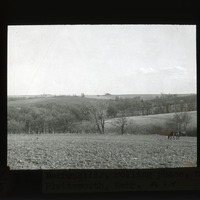 Original caption: [Drift] Loess Hills, rolling phase, near Plattsmouth, Nebr. 46 L.H. Cass County. (121111-00322)