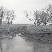 Salt Creek north of Havelock, small tributary, eroded banks. May 2, 1920
